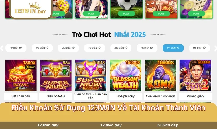 Điều Khoản Sử Dụng 123WIN - Quy Định Tham Gia Tại Nhà Cái 619 Hội viên cần cung cấp thông tin chính xác khi thiết lập tài khoản