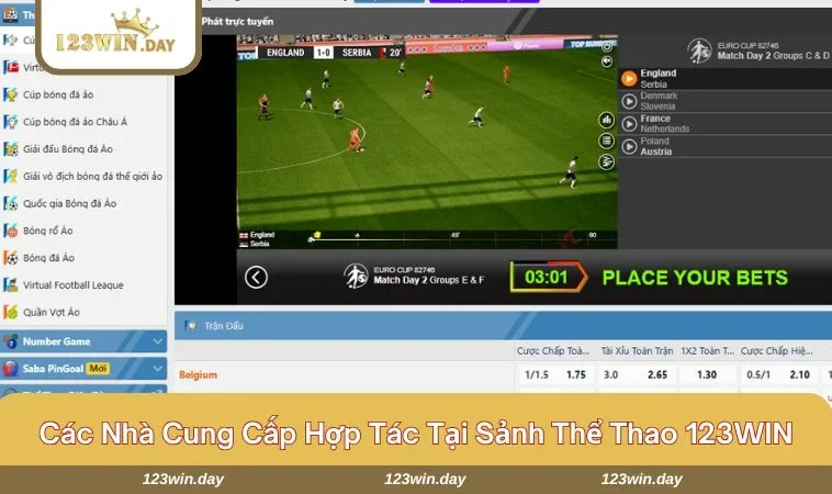 Thể Thao 123WIN - Sảnh Cá Cược Kịch Tính, Ăn Thưởng Khủng 696 Nhà cái chỉ hợp tác với các nhà cung cấp uy tín hàng đầu